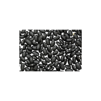 BLACK TURTLE BEAN