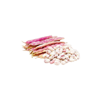 Cranberry Beans 1kg_ $5.99