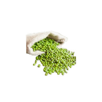 Dried Green Beans 500gm_ $4.50