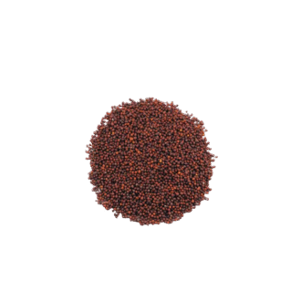 Mustard seed 500gm_ $4.99