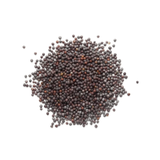 Pattu MUSTARD Seed 200gm