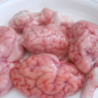 Goat Brain