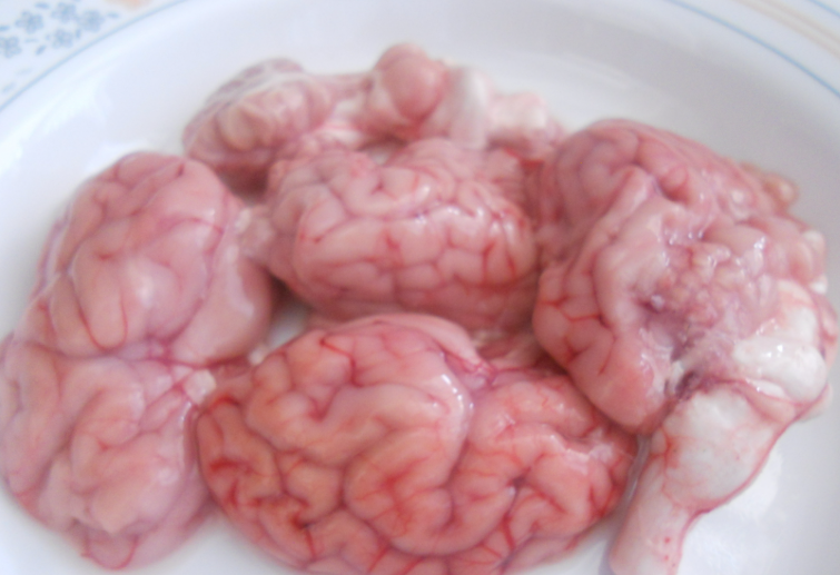 Goat Brain