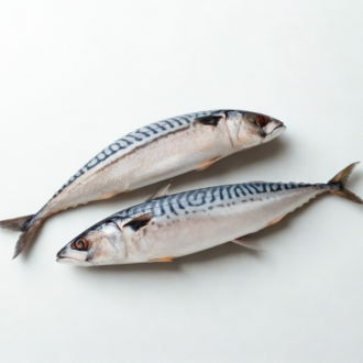 Boston Mackerel - Frozen Whole
