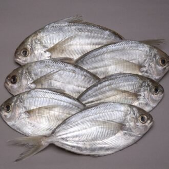 Butterfish - Whole Fresh