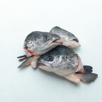 Salmon Heads - Fresh