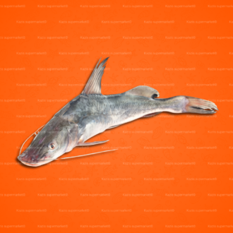 Ayre Fish