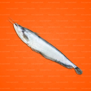Boal Fish