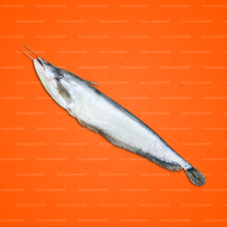 Boal Fish