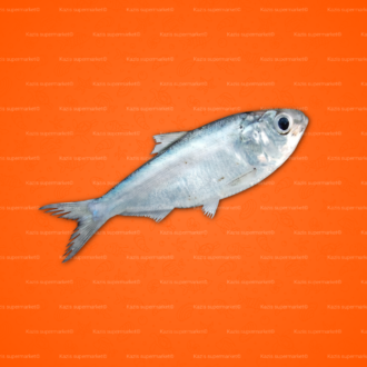 Chapila Fish