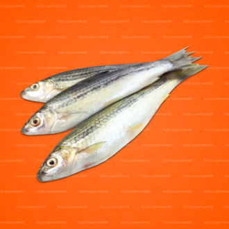 Hilsha Deshi Fish