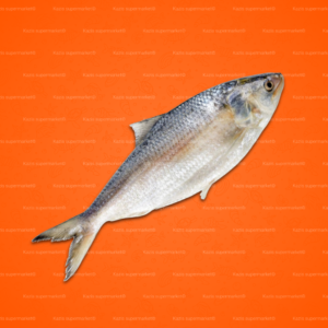 Deshi Hilsha Fish