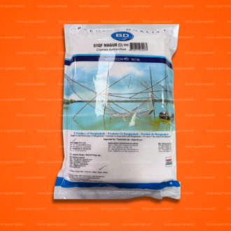 Magur Fish