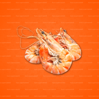 School Prawn